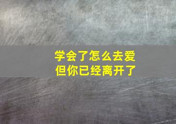 学会了怎么去爱 但你已经离开了